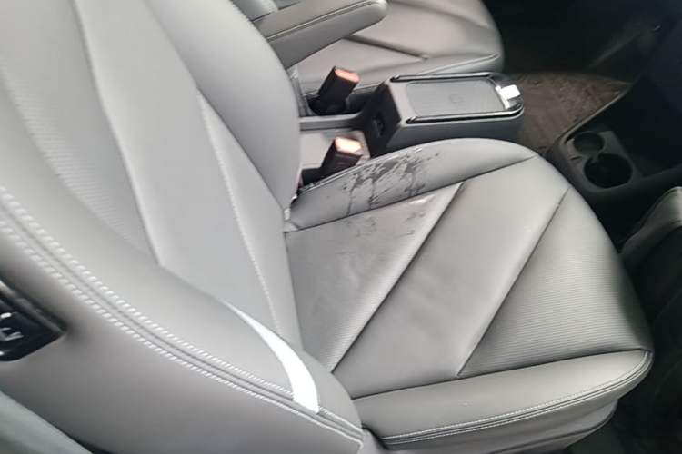 Used Chery New Energy Boundless Pro 2022 301km "WoW" Edition Lithium Iron Phosphate Right Front Seat
