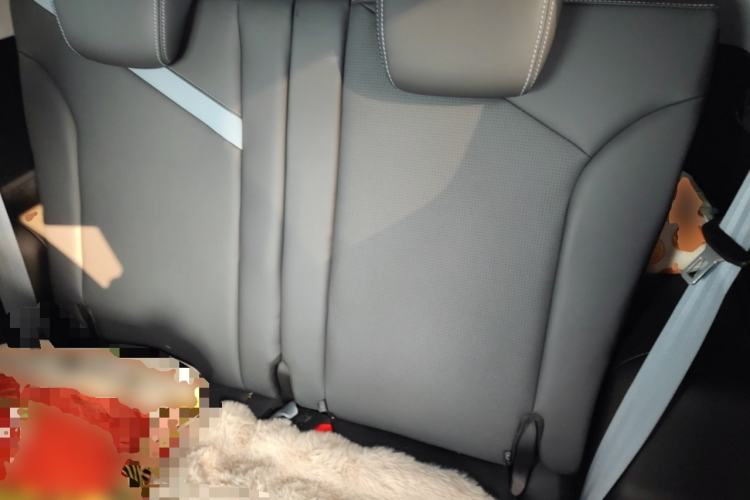 Used Chery New Energy Boundless Pro 2022 301km LingShou Edition Lithium Iron Phosphate Left Rear Seat