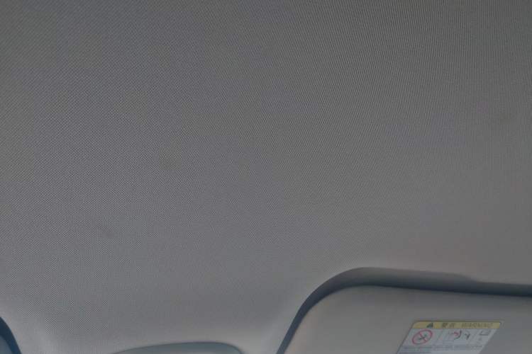 Used Chery New Energy Boundless Pro 2022 301km LingShou Edition NMC Lithium-ion Headliner