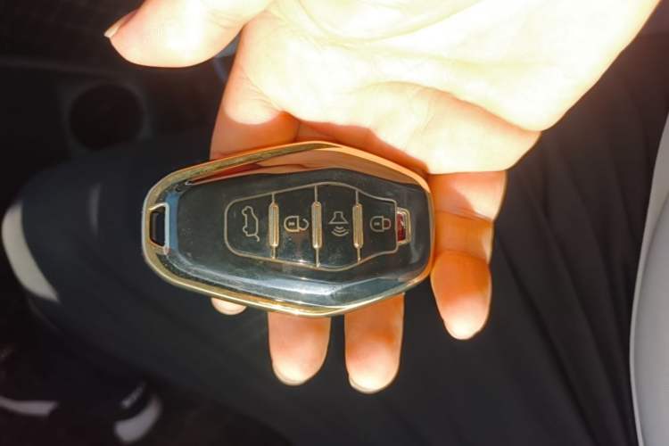 Used Chery New Energy Boundless Pro 2022 301km LingShou Edition Lithium Iron Phosphate Vehicle Key