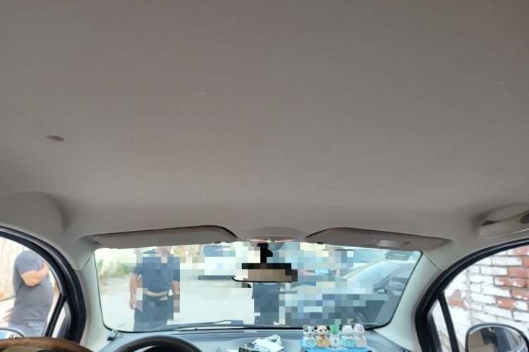 Used Chery New Energy eQ 2015 Comfort Model Headliner