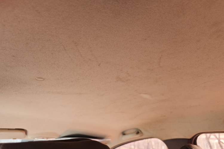 Used Chery New Energy eQ 2015 Comfort Model Headliner