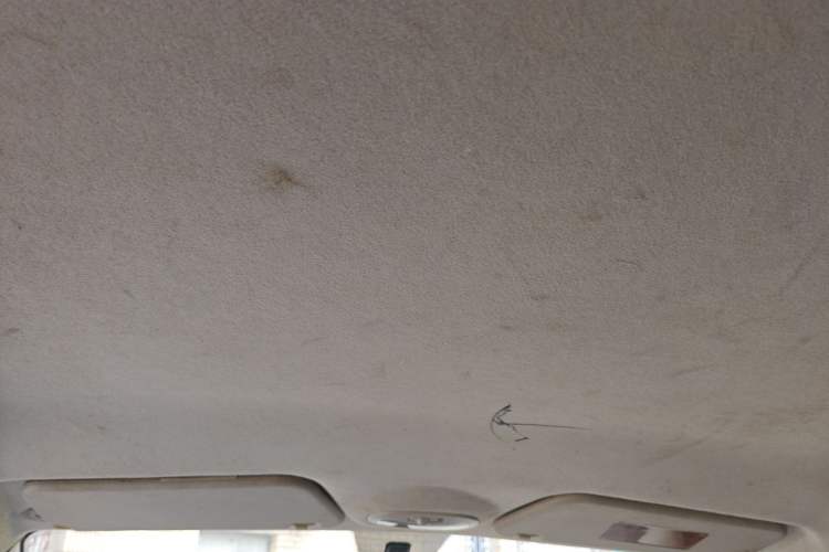 Used Chery New Energy eQ 2015 Comfort Model Headliner