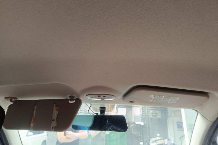 Used Chery New Energy eQ 2017 Luxury Model Headliner