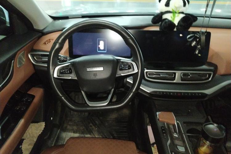 Used Chery New Energy eQ5 2020 High-Energy Pro Edition Steering Wheel