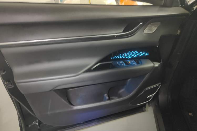 Used Chery New Energy eQ5 2020 High-Energy Pro Edition Left Front Door Interior