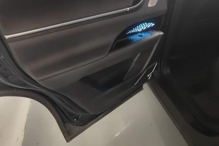 Used Chery New Energy eQ5 2020 High-Energy Pro Edition Left Rear Door Interior
