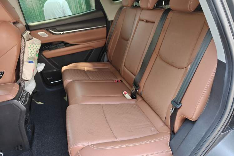 Used Chery New Energy eQ5 2020 High-Energy Pro Edition Left Rear Seat