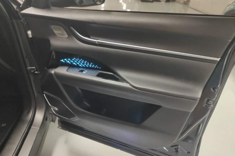 Used Chery New Energy eQ5 2020 High-Energy Pro Edition Right Front Door Interior