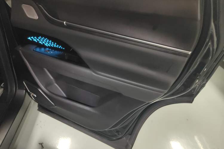 Used Chery New Energy eQ5 2020 High-Energy Pro Edition Right Rear Door Interior