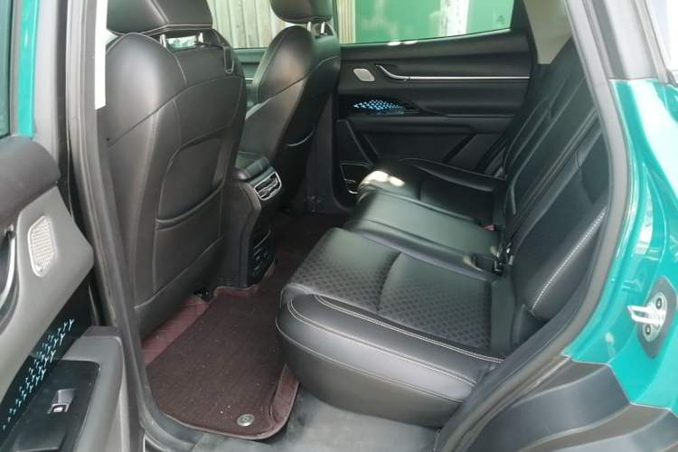 Used Chery New Energy eQ5 2020 High-Energy Edition Left Rear Seat