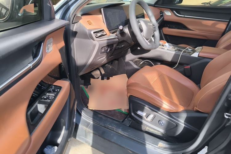 Used Chery New Energy eQ5 2020 High-Energy Pro Edition Driver Seat