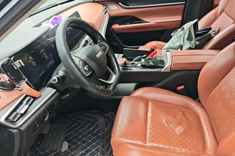 Used Chery New Energy eQ5 2020 High-Energy Pro Edition Left Front Seat