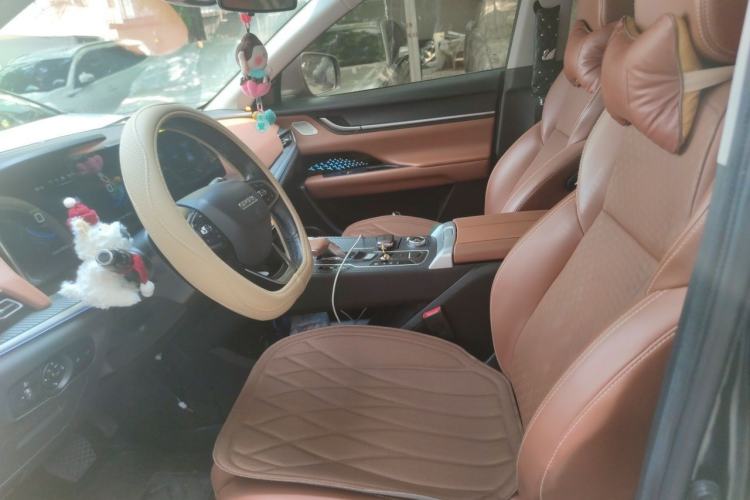 Used Chery New Energy eQ5 2020 High-Energy Pro Edition Left Front Seat