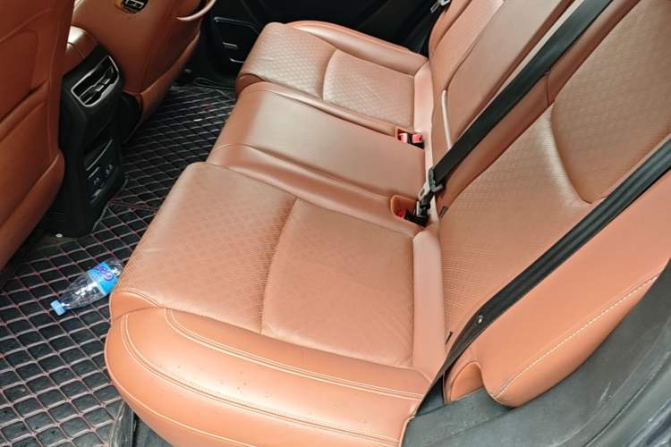 Used Chery New Energy eQ5 2020 High-Energy Pro Edition Left Rear Seat