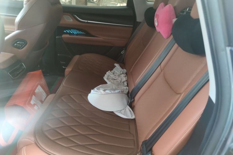 Used Chery New Energy eQ5 2020 High-Energy Pro Edition Left Rear Seat