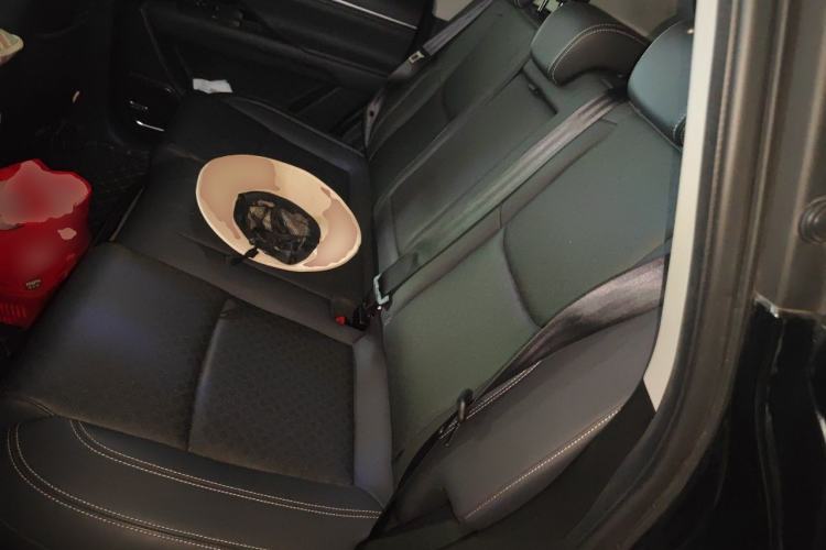 Used Chery New Energy eQ5 2020 High-Energy Pro Edition Left Rear Seat