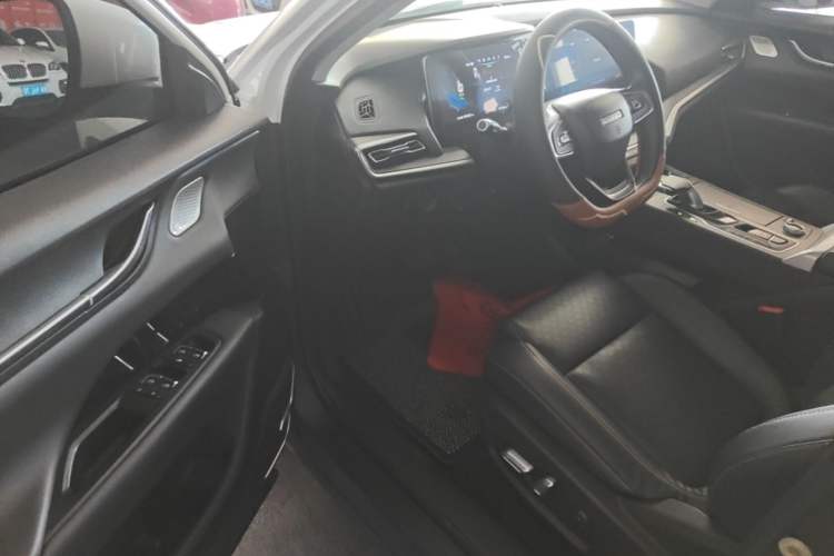 Used Chery New Energy eQ5 2020 High-Energy Pro Edition Driver Seat