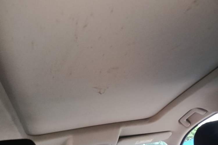 Used Chery New Energy eQ5 2022 Enjoyment Cabin Headliner