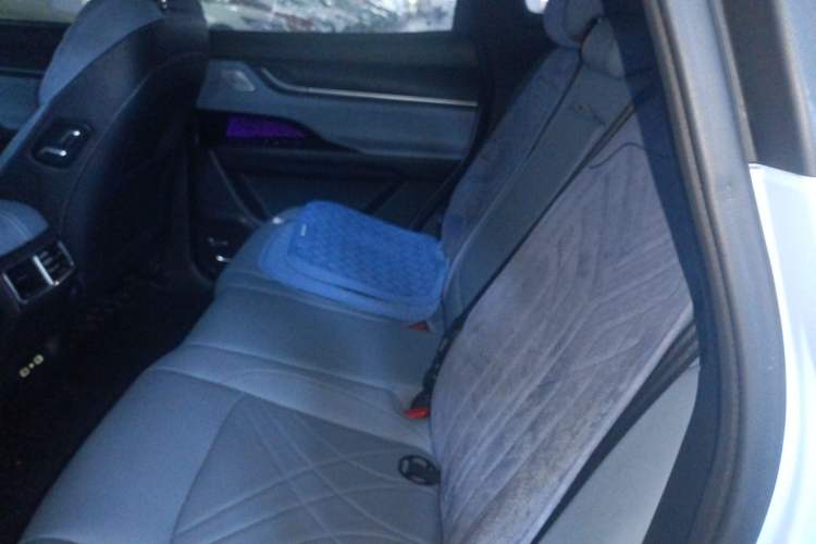 Used Chery New Energy eQ7 2023 512km Pro Left Rear Seat