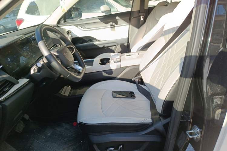 Used Chery New Energy eQ7 2023 512km Air Left Front Seat