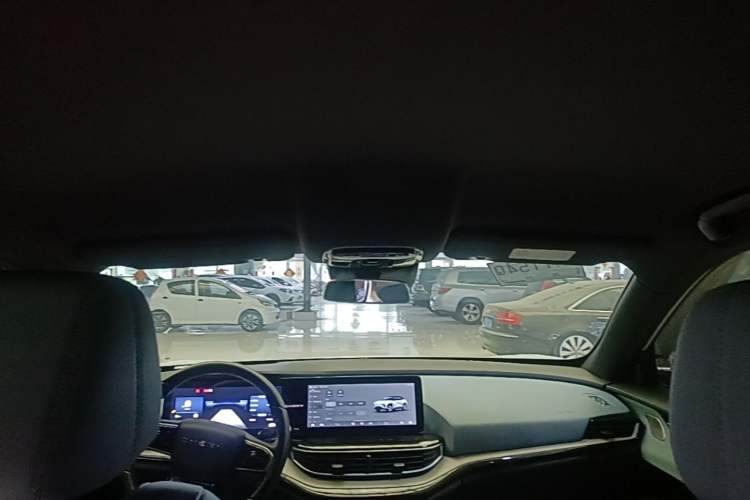 Used Chery New Energy eQ7 2024 512 km Leisure Edition Headliner