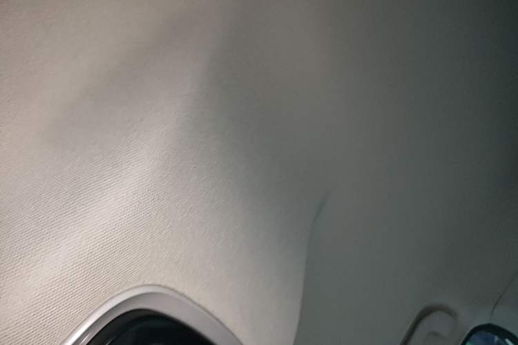 Used Chery New Energy eQ7 2024 512 km Leisure Edition Headliner