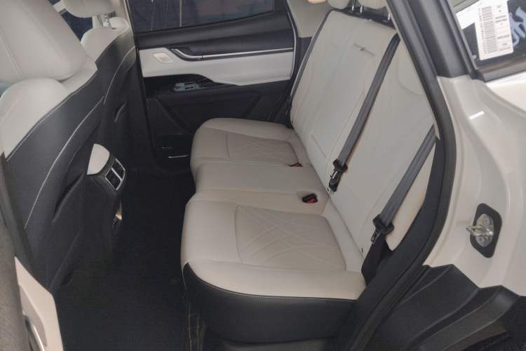 Used Chery New Energy eQ7 2024 512 km Leisure Edition Interior 4
