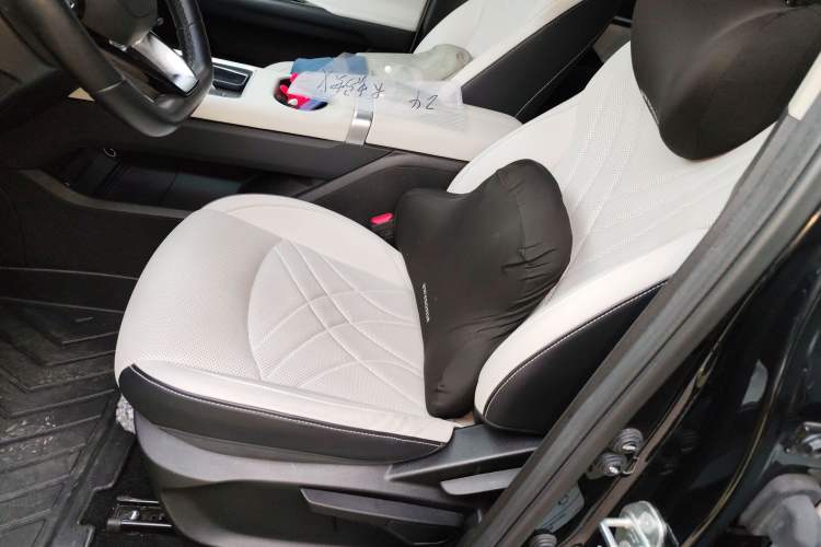 Used Chery New Energy eQ7 2024 512 km Leisure Edition Left Front Seat