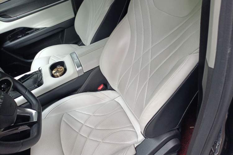 Used Chery New Energy eQ7 2024 512 km Leisure Edition Left Front Seat
