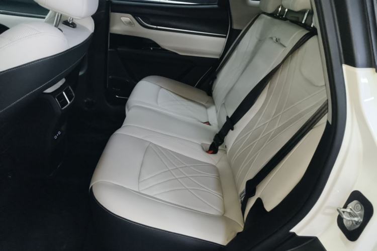 Used Chery New Energy eQ7 2024 512 km Leisure Edition Left Rear Seat