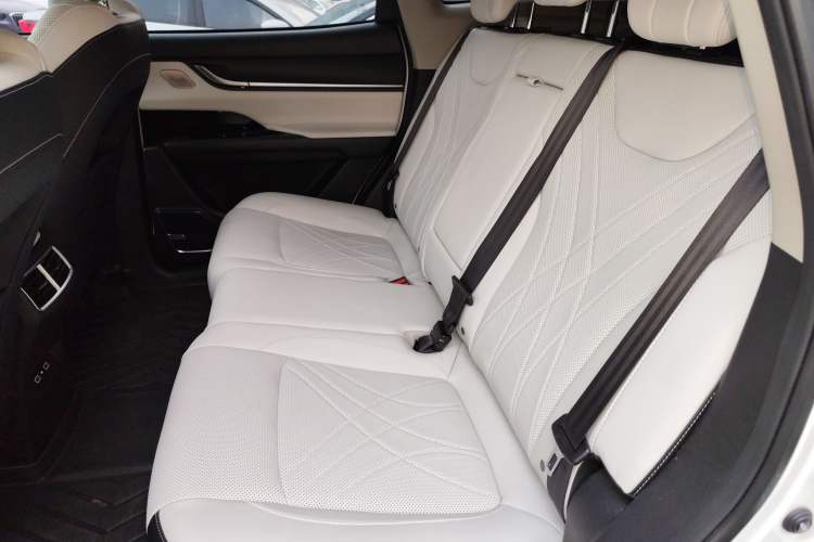 Used Chery New Energy eQ7 2024 512 km Leisure Edition Left Rear Seat