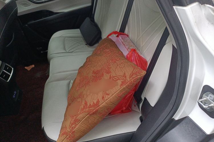 Used Chery New Energy eQ7 2024 512 km Leisure Edition Left Rear Seat
