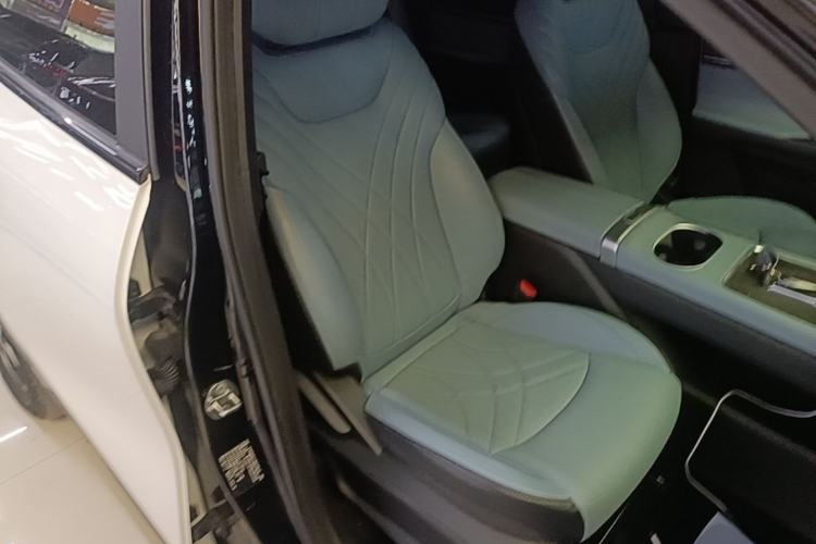 Used Chery New Energy eQ7 2024 512 km Leisure Edition Right Front Seat