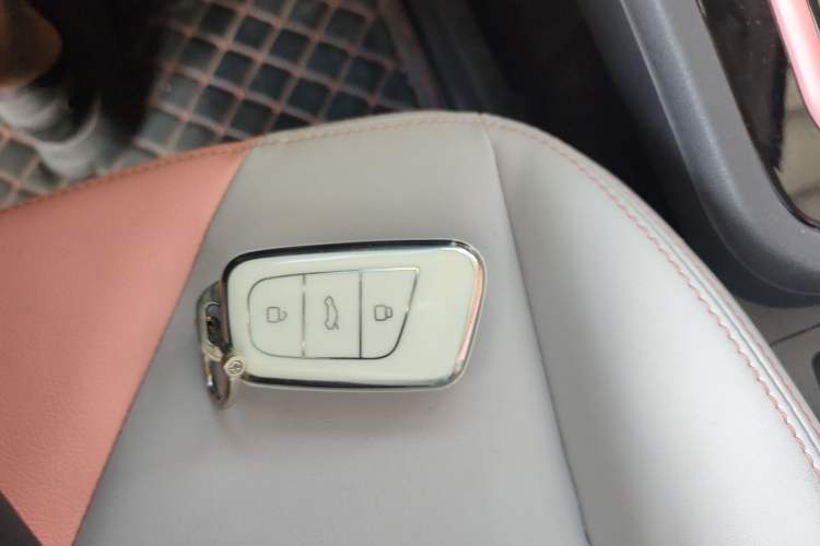 Used Chery New Energy Little Ant 2024 Edition Youth Version 251km True Love Edition 25.05 kWh Vehicle Key