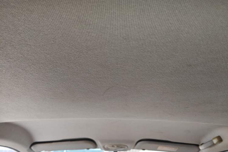 Used Chery New Energy Little Ant 2018 400 4-Seater Smart Edition Headliner