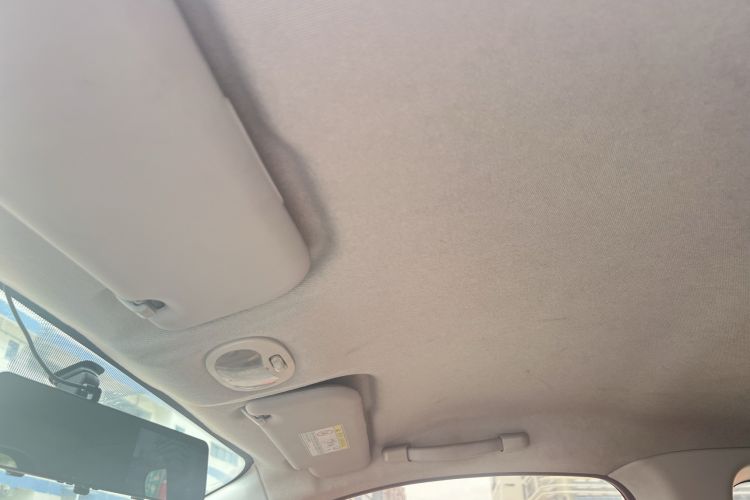 Used Chery New Energy Little Ant 2018 400 4-Seater Smart Edition Headliner