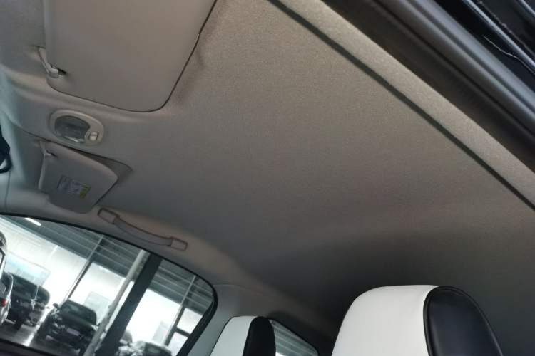 Used Chery New Energy Little Ant 2018 300 4-Seater Smart Edition Headliner