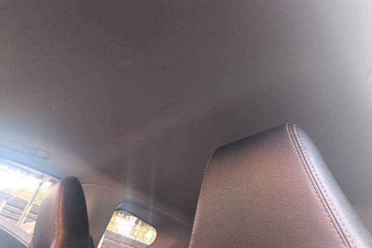 Used Chery New Energy Little Ant 2019 4-Seater Smart Edition 35 kWh Headliner