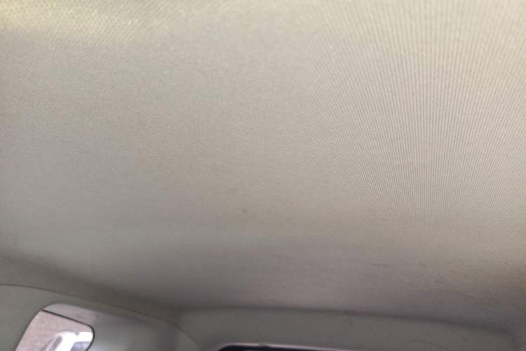 Used Chery New Energy Little Ant 2019 4-Seater Smart Edition 35 kWh Headliner