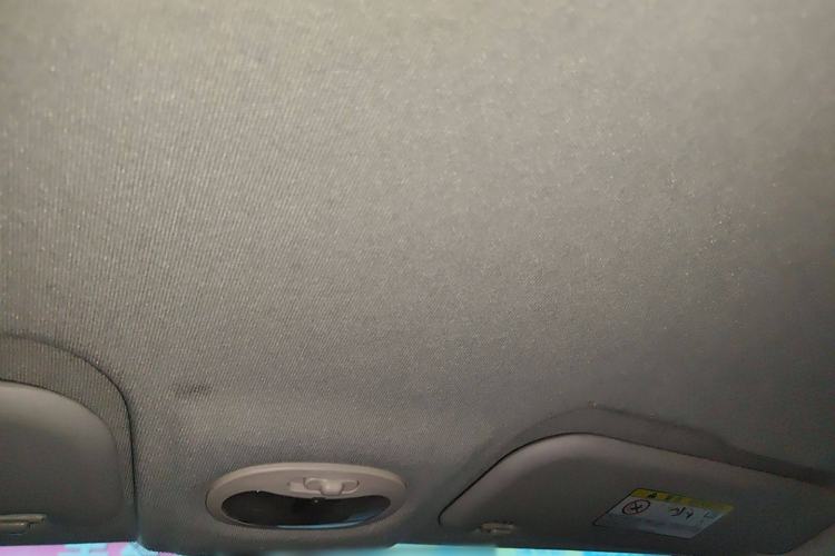 Used Chery New Energy Little Ant 2019 4-Seater Smart Edition 35 kWh Headliner