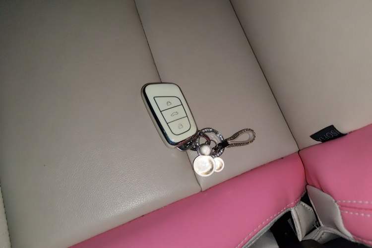Used Chery New Energy Little Ant 2019 4-Seater Smart Edition 35 kWh Vehicle Key
