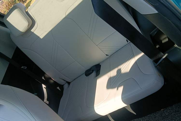 Used Chery New Energy Little Ant 2021 200 000 Yuan "Ant Fan" Edition Energized Version NMC Lithium Battery 301 km Left Rear Seat