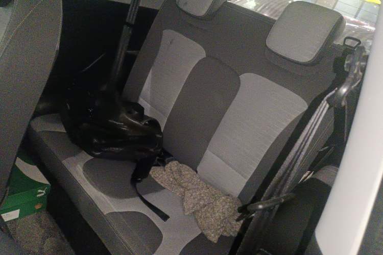 Used Chery New Energy Little Ant 2021 150 000 Yuan Ant Fan Edition New Ant Xuan Version Lithium Iron Phosphate Left Rear Seat