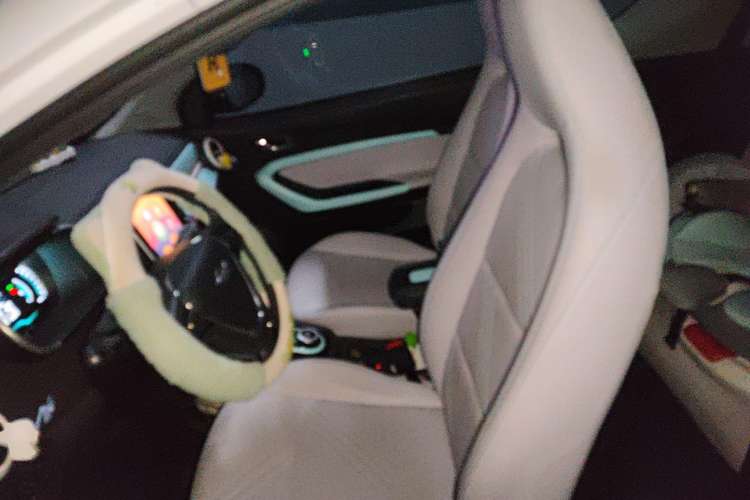 Used Chery New Energy Little Ant 2021 200 000-Yuan Ant Fan Edition Oxygen Version Lithium Iron Phosphate 301 km Left Front Seat