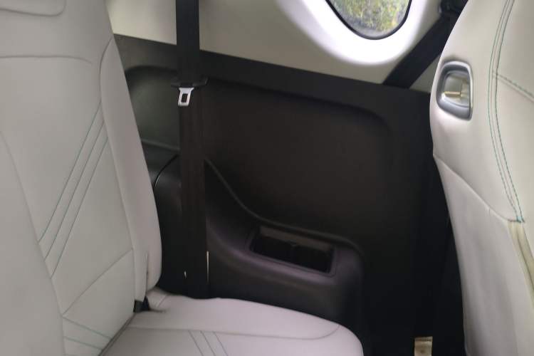 Used Chery New Energy Little Ant 2021 200 000-Yuan Ant Fan Edition Oxygen Version Lithium Iron Phosphate 301 km Left Rear Door Interior