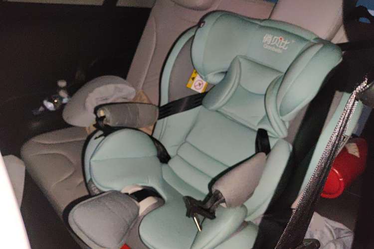 Used Chery New Energy Little Ant 2021 200 000-Yuan Ant Fan Edition Oxygen Version Lithium Iron Phosphate 301 km Left Rear Seat