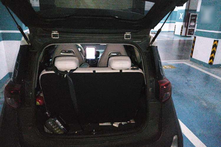 Used Chery New Energy Little Ant 2021 200 000-Yuan Ant Fan Edition Oxygen Version Lithium Iron Phosphate 301 km Trunk