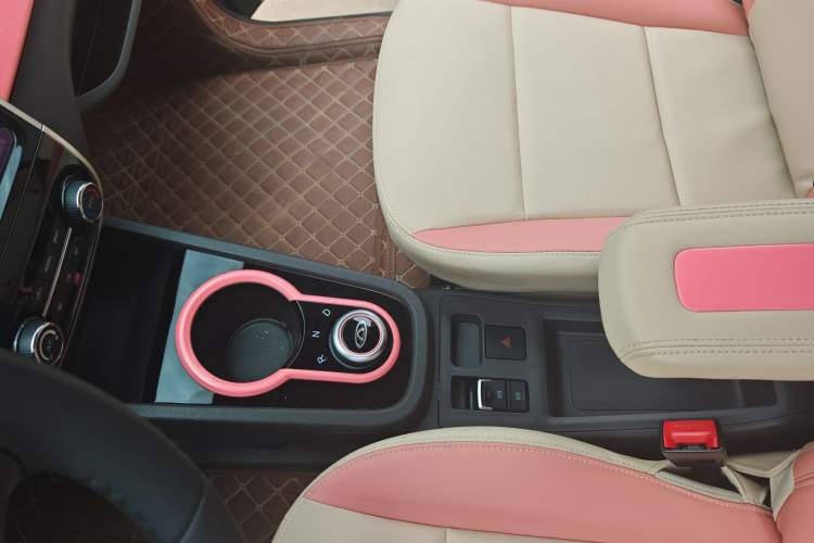 Used Chery New Energy Little Ant 2021 200 000-Yuan Ant Fan Edition Talent Version NMC Battery 301 km Gear Lever
