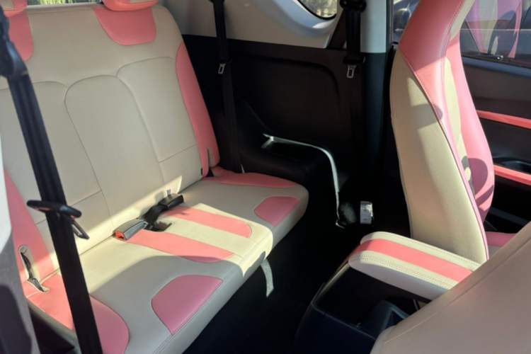 Used Chery New Energy Little Ant 2021 150 000 Yuan "Ant Fan" Edition New Ant Cool Version Lithium-Ion Battery Interior 4